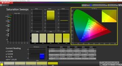 CalMAN Sättigung kalibriert