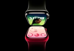 Die Apple Watch soll erst im Jahr 2024 wieder ein größeres Hardware-Upgrade erhalten. (Bild: Apple)