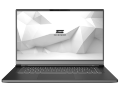 Kann seine Leistung voll ausnutzen: Das Schenker VIA 15