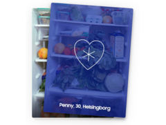 Partnerauswahl anhand des Kühlschrankinhalts