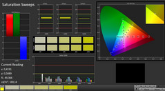CalMAN: Farbsättigung