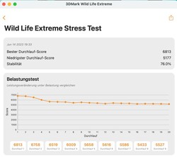3DMark Wildlife Extreme Stresstest