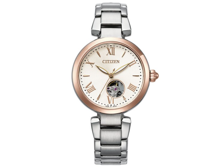 Die Citizen Collection PR1054-59A Uhr