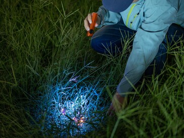 Die Olight ArkPro Ultra verfügt über ein UV-Licht zum Aufspüren organischer Flecken