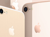 Apple umgeht Verkaufsverbot für iPhone 7 und 8.