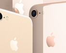 Apple umgeht Verkaufsverbot für iPhone 7 und 8.