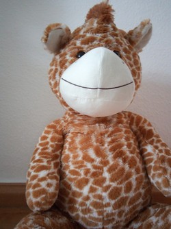 Aufnahme mit der Frontcam