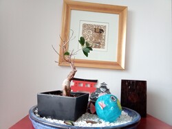 Aufnahme Frontkamera