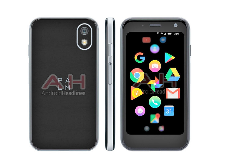 Aufgehellt sieht man die dicken Ränder des 3,3 Zoll Palm Pepito.