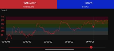 Herzfrequenzmessung mit dem Polar H10-Brustgurt