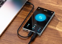 Der FiiO FM21 bietet 700 mW Leistung und DSD-Support zum günstigen Preis. (Bildquelle: FiiO)