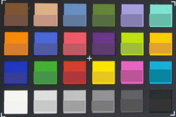 ColorChecker-Farben abfotografiert. In der unteren Hälfte jedes Feldes ist jeweils die Referenzfarbe abgebildet.