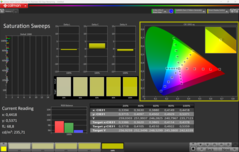 CalMAN Sättigung kalibriert
