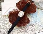 Noah × Timex Boatswain Uhr mit goldenen Akzenten und römischem Zifferblatt