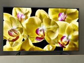 Sony verteilt Android 9 Pie endlich auch an viele ältere Smart TVs, bis hin zu Modellen, die 2016 veröffentlicht wurden. (Bild: Sony)