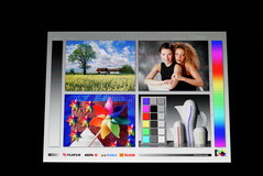 Die Blickwinkel sind wie für IPS-Displays üblich sehr gut aber nicht auf Niveau eines OLED-Panels