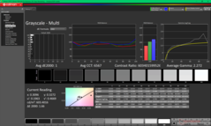 Graustufen vor der Kalibrierung