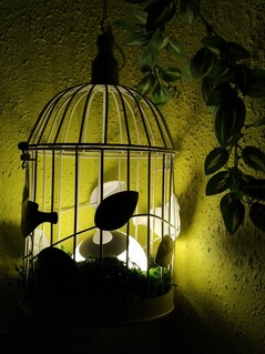 Xiaomi M Mix 3 - 2x-Zoom