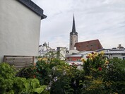 Hauptkamera