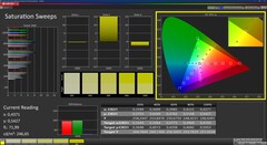 Saturation  (kalibriert)
