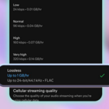 Ein YouTuber hat die verlustfreie Audioqualität von Spotify getestet und festgestellt, dass sie nicht den Erwartungen entspricht. (Bildquelle: Spotify)