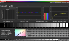 CalMAN - Graustufen (kalibriert)