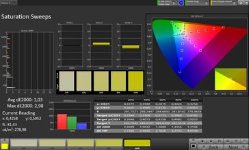 Farbsättigung (Profil: Pro Zielfarbraum: sRGB) - Innendisplay