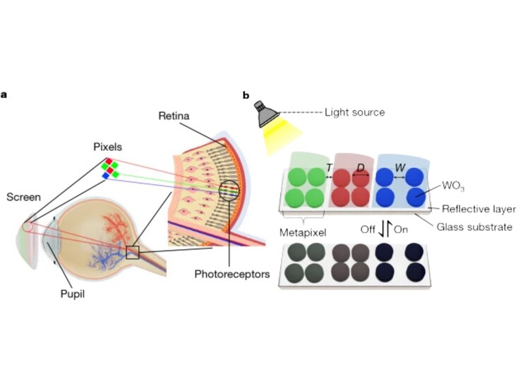 (Bildquelle: Nature)