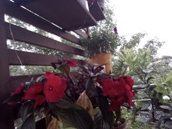 Aufnahme Frontkamera