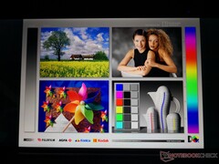 Großzügige IPS-Blickwinkel. Bei extremen Winkeln fallen Kontrast und Farben sichtbar ab