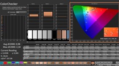 Calman: ColorChecker (kalibriert)