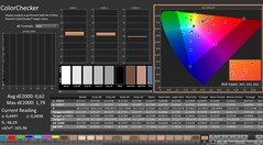 CalMAN: ColorChecker (kalibriert)
