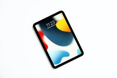 Das neue iPad mini besitzt ein größeres Display, das aber nicht ganz frei von Problemen ist. (Bild: Jeremy Bezanger)
