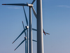 Wohin mit den Flügeln? Gute Einfälle häufen sich. (Bild: pixabay/fotoblend)