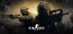 Counter Strike ist mit der integrierten Grafikkarte kaum spielbar
