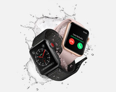 Die Apple Watch ist das zurzeit populärste Wearable
