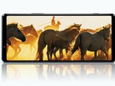 Das Sony Xperia 1 II bietet ein enorm hochauflösendes HDR-OLED-Display, beim Nachfolger soll Sony aber noch mehr bieten. (Bild: Sony)