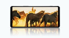 Das Sony Xperia 1 II bietet ein enorm hochauflösendes HDR-OLED-Display, beim Nachfolger soll Sony aber noch mehr bieten. (Bild: Sony)