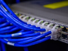 Blaue Netzwerkkabel stecken in den Ports eines Switches im Rechenzentrum