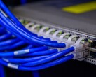 Blaue Netzwerkkabel stecken in den Ports eines Switches im Rechenzentrum