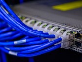 Blaue Netzwerkkabel stecken in den Ports eines Switches im Rechenzentrum