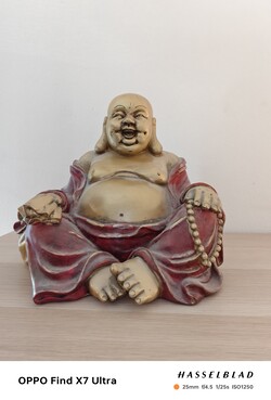 Aufnahme mit der Selfiekamera