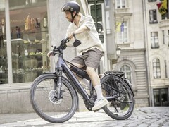 Das Suvea Speed ist schnell - und benötigt eine Versicherung (Bildquelle: Diamant)