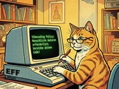 EFF erlaubt Vibe Coding