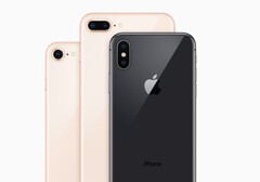 Auch dieses Jahr mixt Apple Intel- und Qualcomm-Modems, wir in Europa bekommen die Intel-Variante.