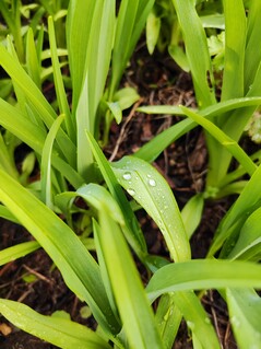 Aufnahme mit der Hauptkamera