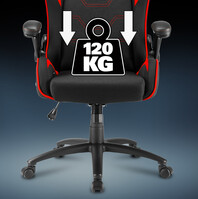 Sharkoon Elbrus 1 Gaming-Sessel