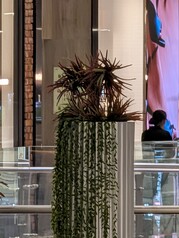 30-facher Pro Res Zoom