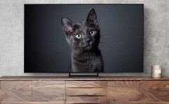 Die 77-Zoll-Version des S93C QD-OLED-Fernsehers ist um mehr als 300 Euro rabattiert (Bild: Samsung)