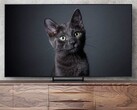 Die 77-Zoll-Version des S93C QD-OLED-Fernsehers ist um mehr als 300 Euro rabattiert (Bild: Samsung)